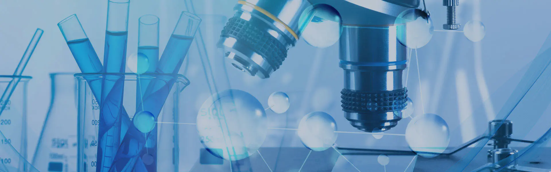 Contacta amb nosaltres